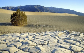 Пустынный пейзаж с горами