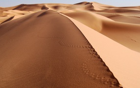 Следы на песке в пустыне