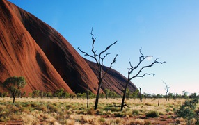 Landscape Australia