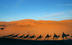 Тени каравана в пустыне