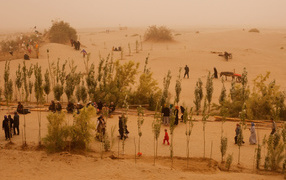 Жизнь в пустыне