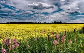 Облака над полем