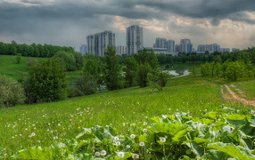 Поле на окраине города