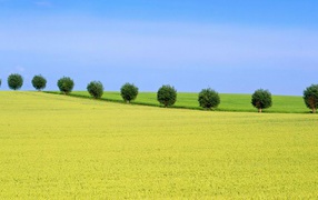 Природа Швеции