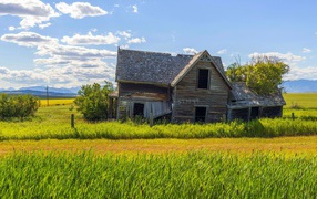 Old house in a field