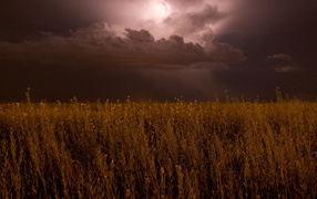 На поле надвигается гроза