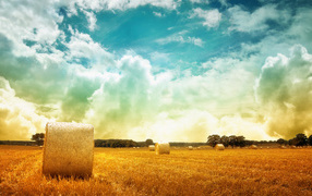 Скошенное поле