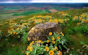 Пейзаж штата Вашингтон
