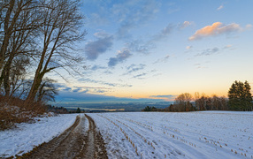 Дорога в зимнем поле