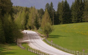 Забор вдоль дорги