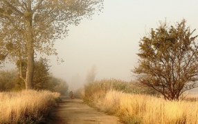 Одинокий человек на дороге