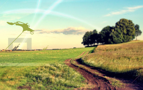 Дорога через поле в лес