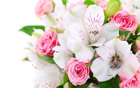 A bouquet of white and pink flowers
