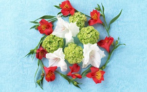 Композиция из цветов