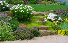 На дачном участке альпийская горка