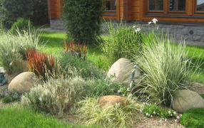 Красивая альпийская горка возле дома