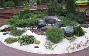 Красивая альпийская горка в нашем саду