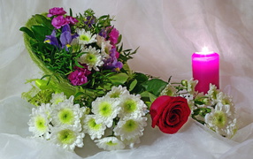 Красивый букет хризантема