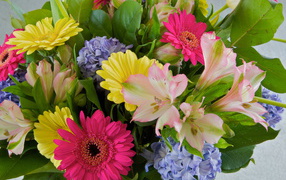 Beautiful bouquet of flowers gerbera