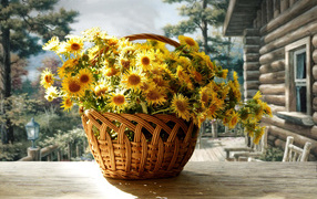Beautiful flowers in a basket Chrysanthemum