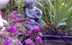 Красивые цветы армерия в саду