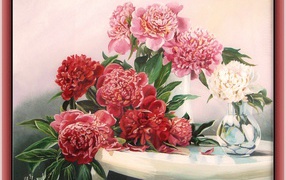 Beautiful picture of flowers peonies