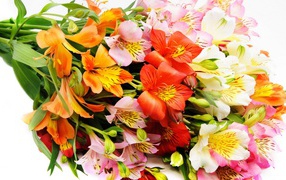 Букет декоративных цветов