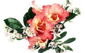 Букет оранжевых гладиолусов