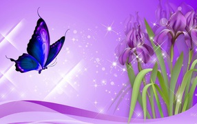 Butterfly on irises