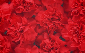 Цветочный фон