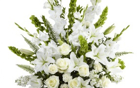 Великолепный букет белых гладиолусов