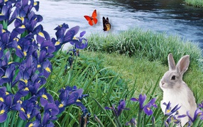 Заяц среди ирисов