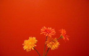 Orange flowers 2