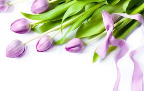 Фиолетовые цветы с бантом