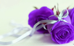 Purple roses with silver ribbon