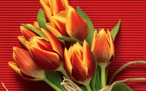 Ничего себе цветы