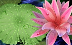 Большая розовая лилия