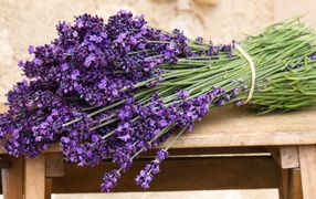 	   A bouquet of lavender on the bench