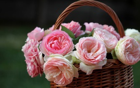 Корзина розовых цветков
