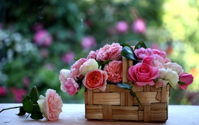 Корзина с розами