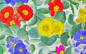 	   Flower Wallpaper