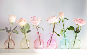 Розы в стеклянных кувшинах