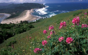 Вид на море с горы