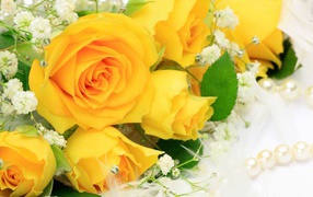 	   Yellow roses with white flowers