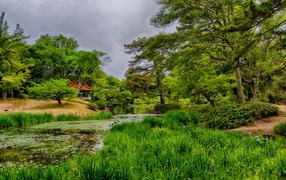 Домик в лесу