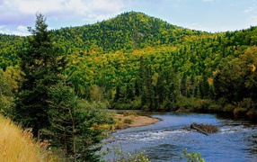 Гора покрытая лесом