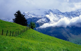 Зеленый луг и снежные горы