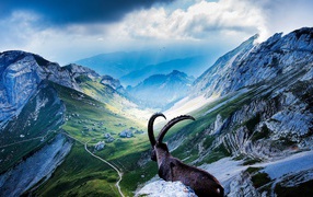 Вершины гор