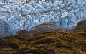 Белые скалы