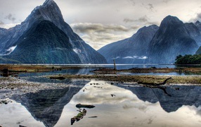 Дикая природа гор